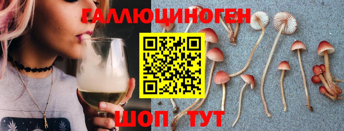 закладки  Псилоцибиновые грибы прущие грибы  Вход с VPN  Сатка 