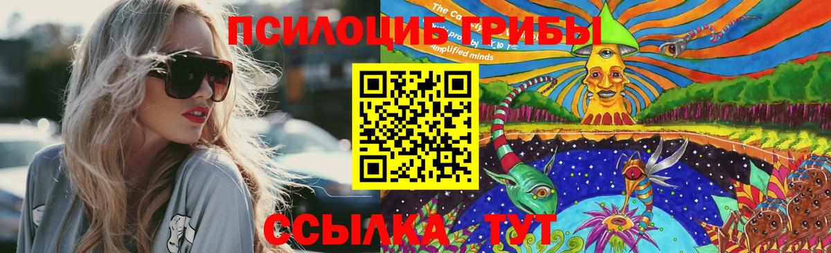 Псилоцибиновые грибы Psilocybe Сатка